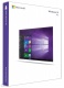 Microsoft Windows 10 Pro 64Bit EN